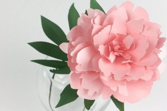 3D SVG Peony Paper Flower for Digital Sellers