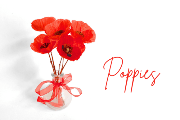 Poppy Poppies – Realistic 3D SVG Paper Flowers for Branding